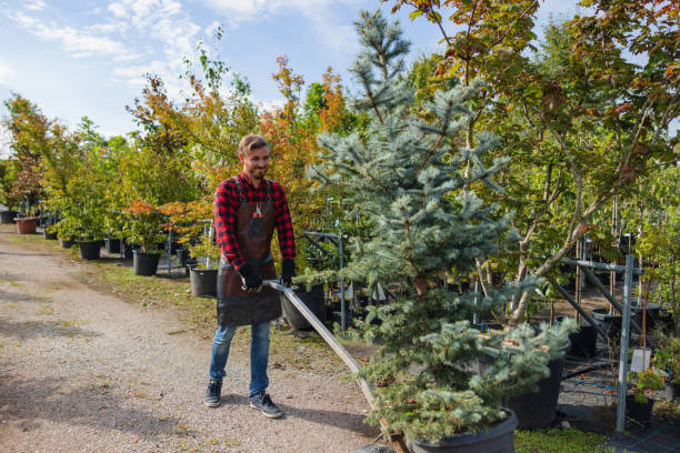 Best Commercial Tree Services  in Four Bridges, OH